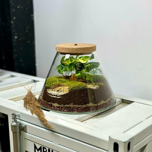 Флорариум с подсветкой от бренда 