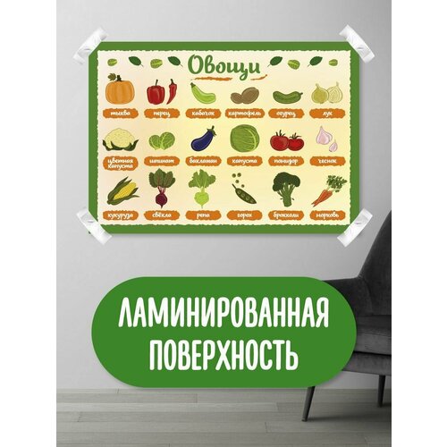 Обучающий плакат, обучающий материал, школьные плакаты, овощи, фрукты, ягоды