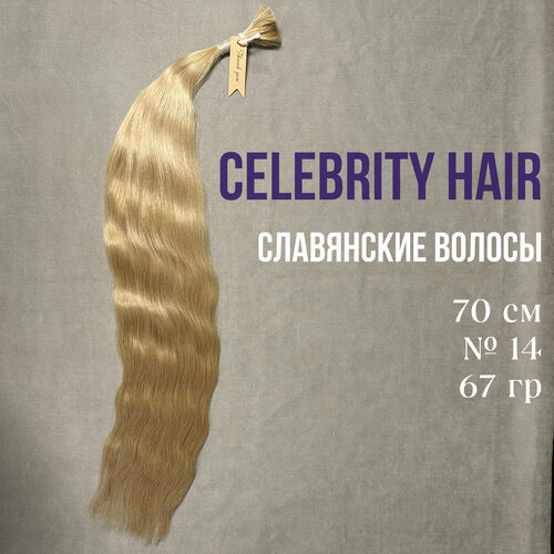 Волосы на срезе славянские Celebrity Hair 70-75 см №14 67гр