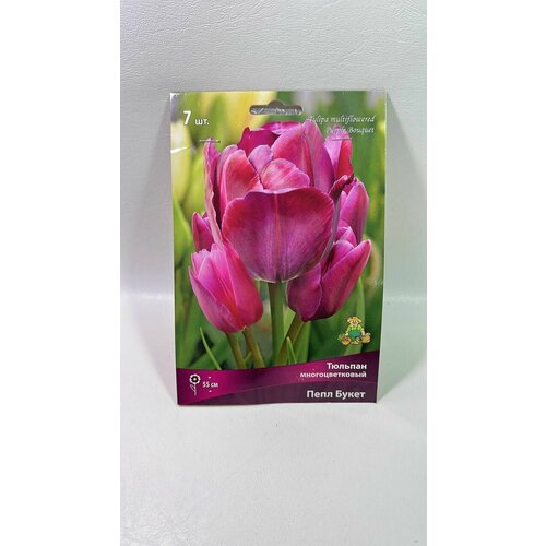 Тюльпан многоцветковый Пёпл Букет 7шт (Агрохолдинг Поиск)