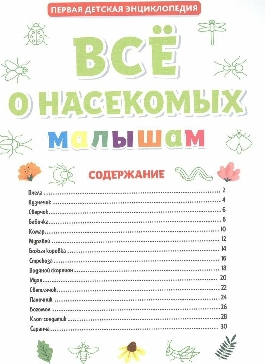 Всё о насекомых малышам (Ктиторова Екатерина (редактор)) - фото №11