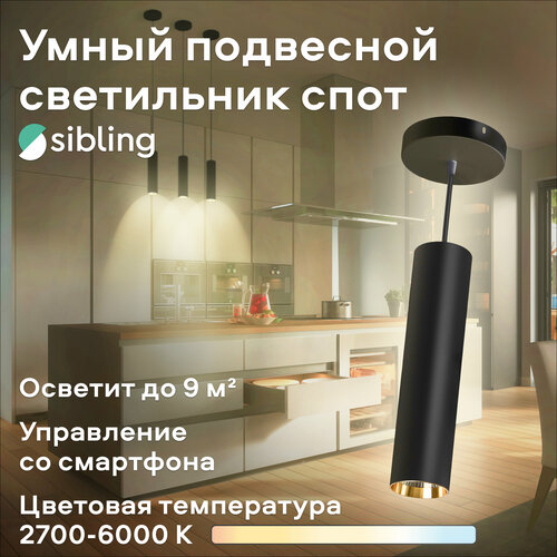 Умный подвесной спот Sibling Interior Light-ZSSLB 24 Вт черный