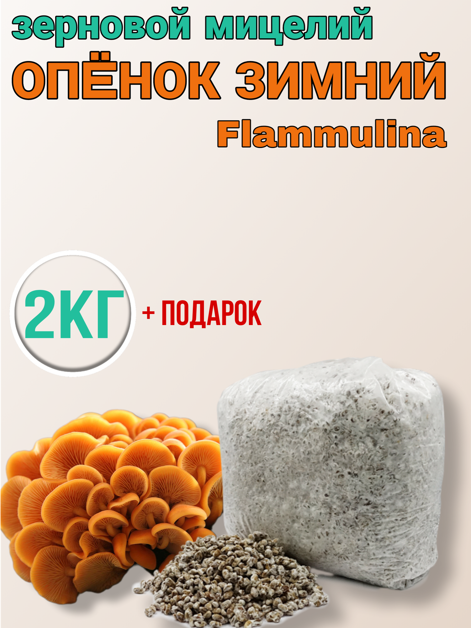 Зерновой мицелий опят для выращивания грибов