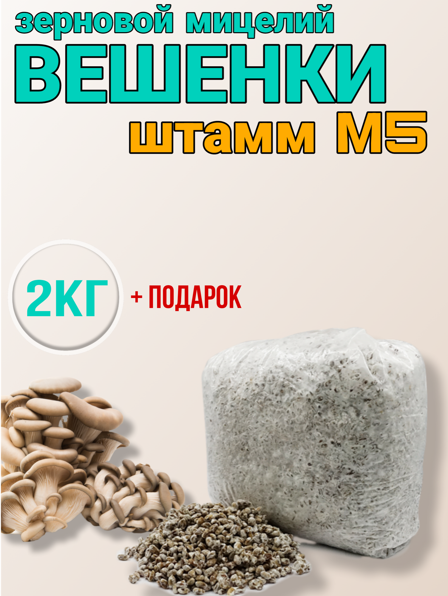 Зерновой мицелий для выращивания грибов вешенки