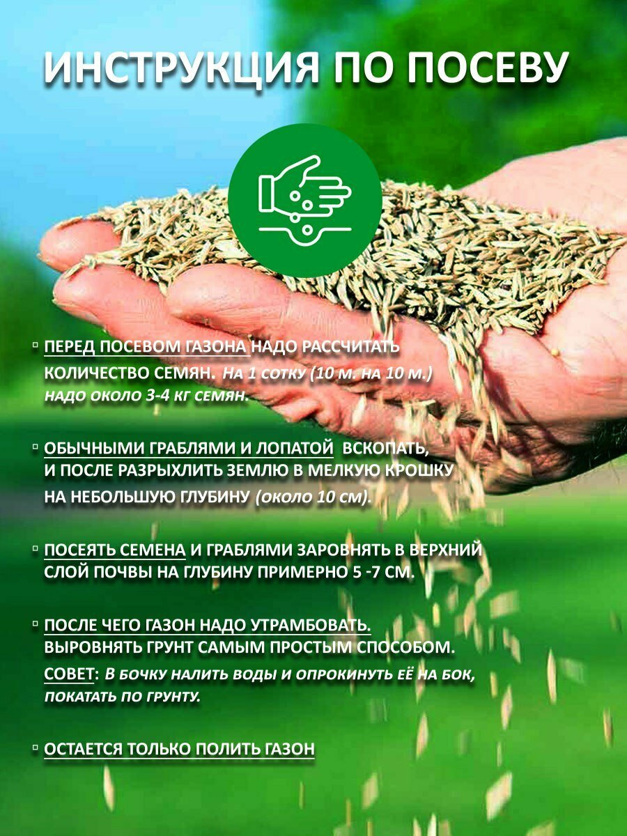 Газонная трава семена Канада Грин Низкорослый ECO 10 кг/ мятлик, овсяница семена