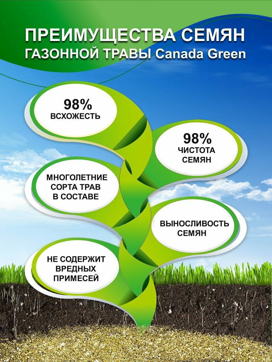 Газонная трава семена Канада Грин Низкорослый ECO 10 кг/ мятлик, овсяница семена