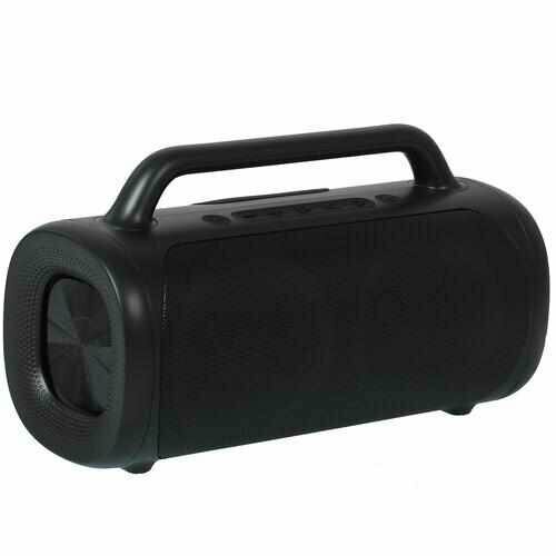 Портативная колонка Fiero Blackline Huge FR560 черный 8298₽