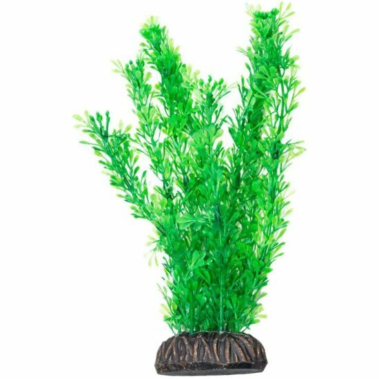 Растение Laguna "Лигодиум" зеленый, 200мм
