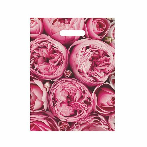 Пакет полиэтиленовый с вырубной ручкой Пионы розовые 30х40 см 50 мкм набор 5 шт 515₽