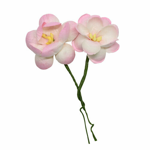 Цветы сакуры, набор 4 шт, диам 3,5 см (SCB291202 нежно-розовые)