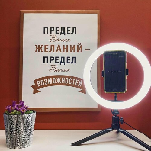 Светильник кольцевой светодиодный Gauss Ring Light 30 см с пультом управления 331100₽