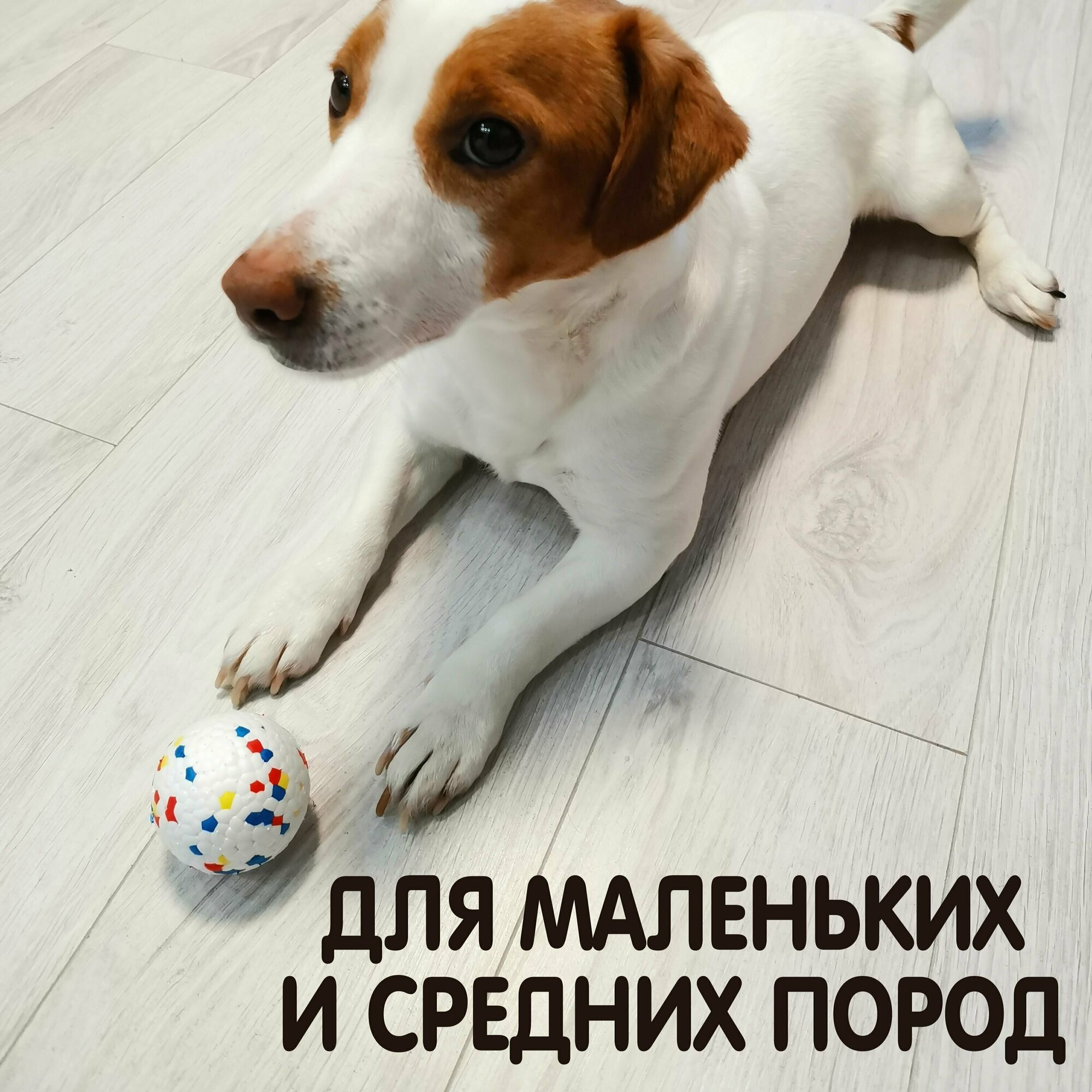 Игрушки для собак мелких и средних пород, мячики для щенков набор из 2-х штук — фото 1