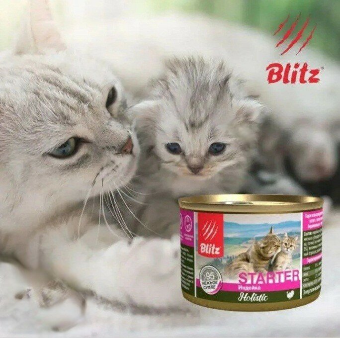 Влажный корм для котят, беременных и кормящих кошек Blitz Holistic Starter 200г*6шт Индейка в суфле