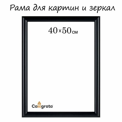 Рама для картин (зеркал) пластик 40х50х1.3 см, Maria черная