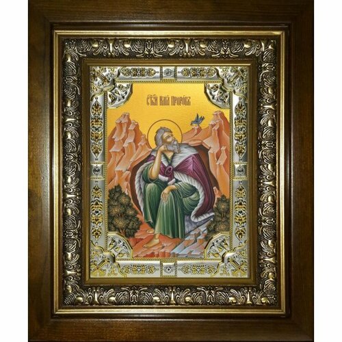 Икона Илия (Илья) пророк, 18x24 см, со стразами, в деревянном киоте, арт вк-5708