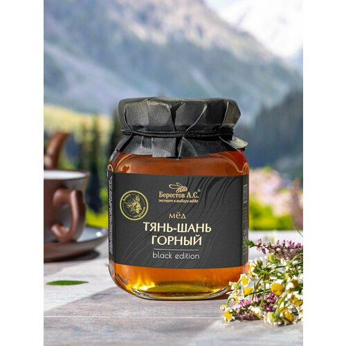 BLACK EDITION мёд натуральный Тянь-Шань Горный 500г Берестов А. С. vtl