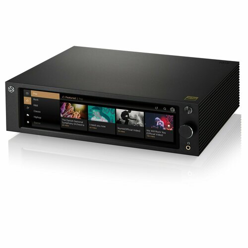 Сетевые аудио проигрыватели Rose RS250A Black 29300000₽