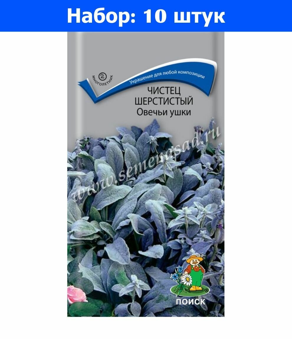 Чистец Овечьи ушки шерстистый 01г Мн 45см (Поиск) - 10 пачек семян