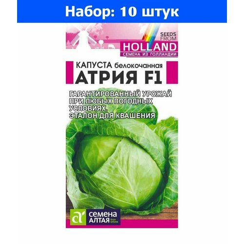 Капуста б/к Атрия F1 12шт Позд (Сем Алт) Seminis Голландские - 10 пачек семян