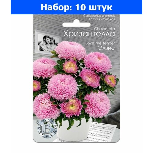 Астра Хризантелла Элвис хризантемовидная 30шт Одн 80см (Биотехника) - 10 пачек семян