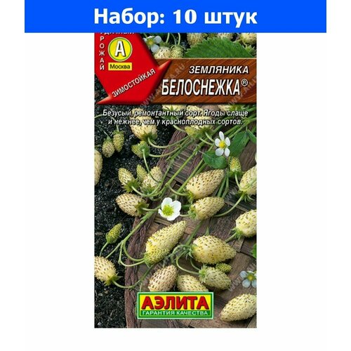 Земляника Белоснежка ремонтантная 0.03г (Аэлита) - 10 пачек семян земляника само совершенство ремонтантная 10 шт уд 10 пачек семян