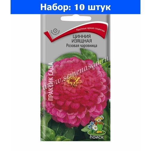 Цинния Розовая чаровница изящная 0,3г Одн 80см (Поиск) - 10 пачек семян