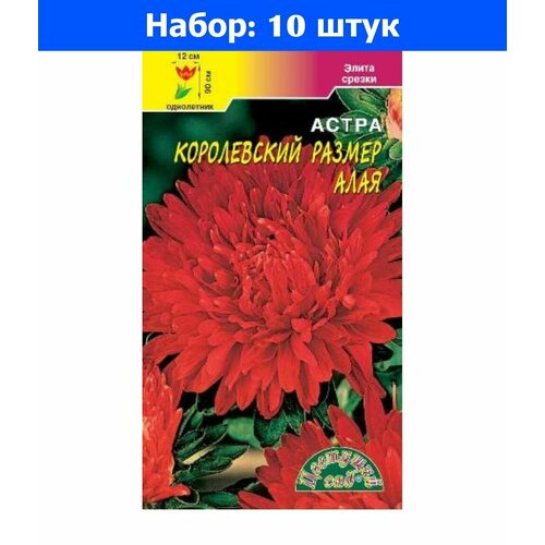 Астра Королевский размер Алая пионовидная Одн 90см (Цвет сад) - 10 пачек семян