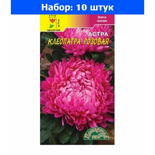 Астра Клеопатра Розовая пионовидная 0.2г Одн 70см (Цвет сад) - 10 пачек семян