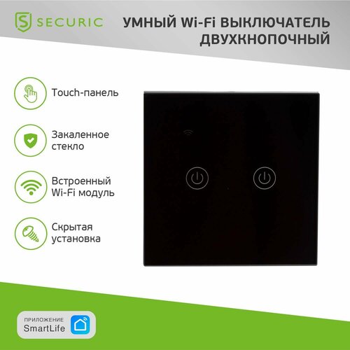 Умный выключатель сенсорный двухклавишный Wi-Fi 10 А, 220 В