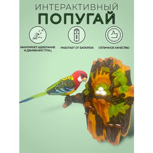 Интерактивная игрушка попугай игрушка интерактивная play smart умный попугай