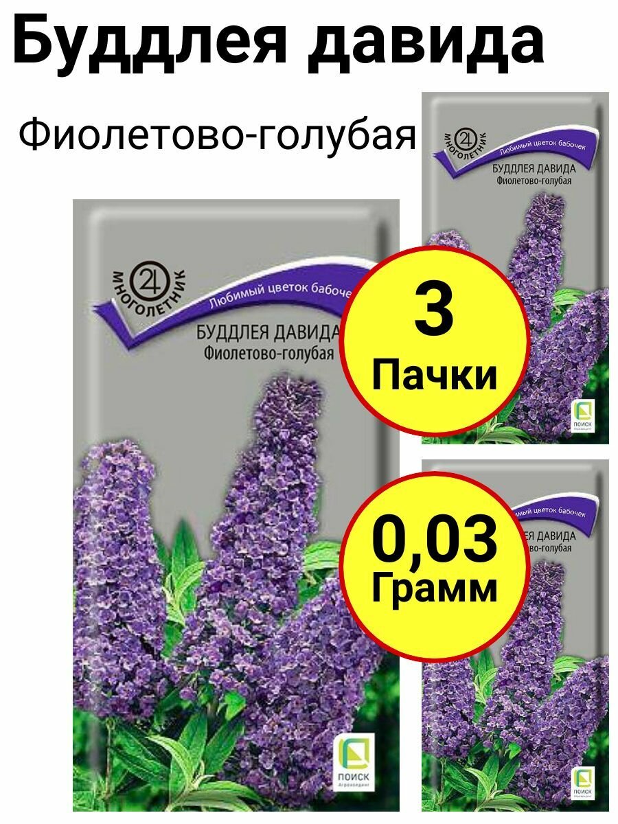 Буддлея давида Фиолетово-голубая Многолетник 0,01 грамм, Поиск - 3 пачки