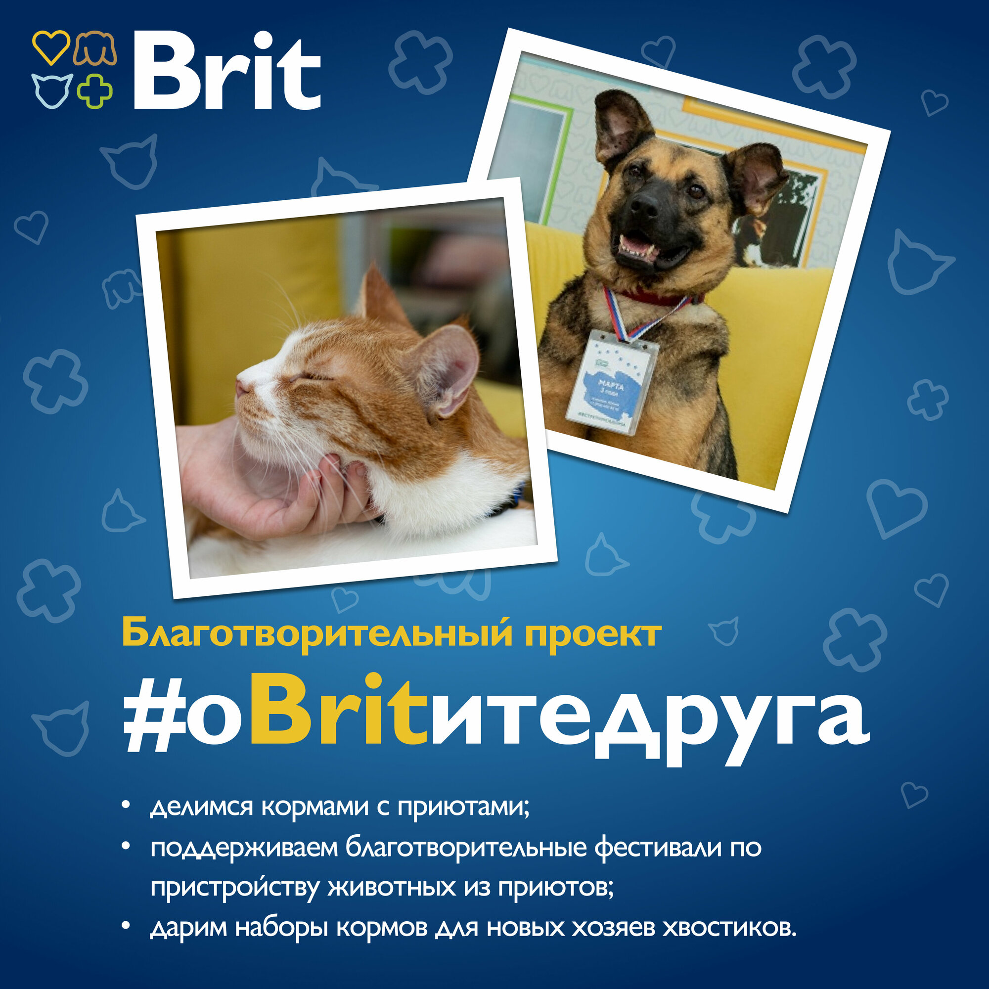 Сухой корм для собак Brit Premium Sensitive с бараниной и индейкой 1кг - фото №17