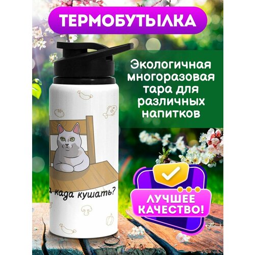 Бутылка для воды кот Када кушатьмл 700 мл банки крышка для бутылки с напитком 4 шт многоразовая крышка для соды пива напитков защитная крышка быстрая доставка полезно