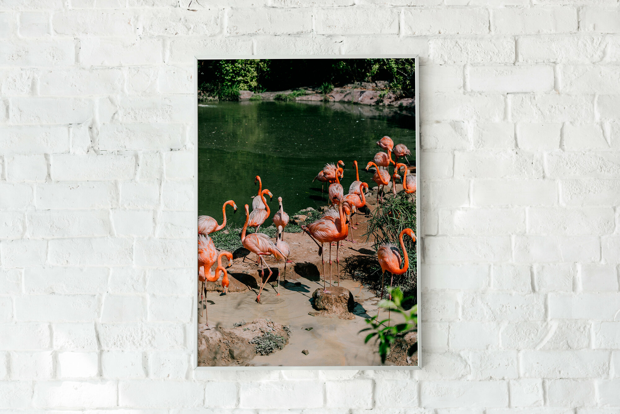 Плакат интерьерный без рамы Фламинго/Природа/Плакат на стену 21х30 см / Постер формата А4