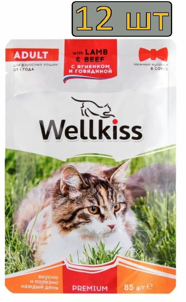 12 штук Wellkiss Adult Влажный корм (пауч) для взрослых кошек, с ягненком и говядиной в соусе, 85 гр.