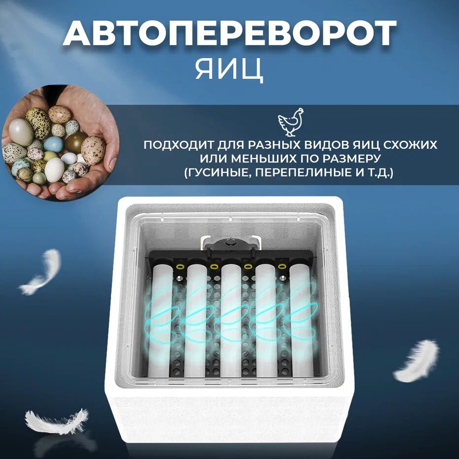 Инкубатор для яиц Mengke NLF-12 автоматический, 12 яиц — фото 1