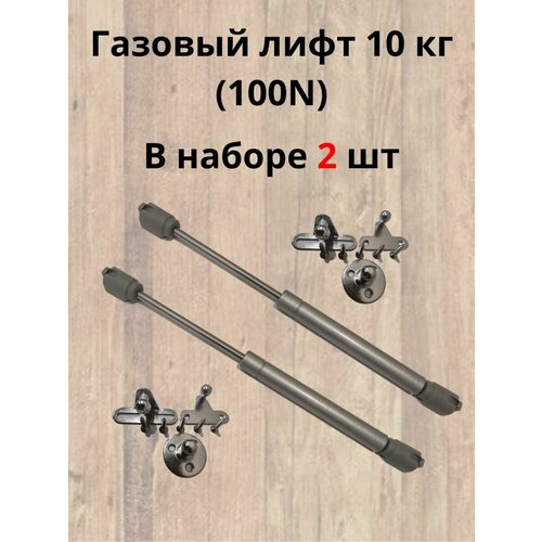 Газовый лифт 10 кг (100N)