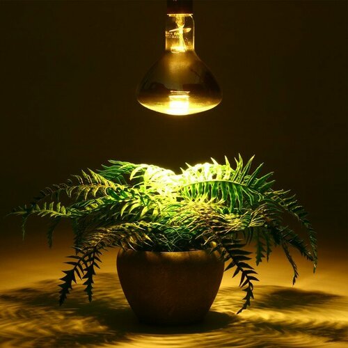 Лампа инфракрасная 250 Вт Е 27 220В длина волны 1100-1150 нм белая колба 621₽