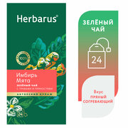 Чай зеленый с добавками в пакетиках Herbarus "Имбирь Мята", 24 шт.