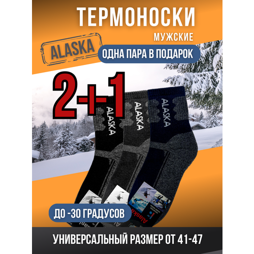 Термоноски Alaska, 3 пары, размер 41/47, мультиколор guahoo термоноски для мужчин для женщин шерстяные термоноски g52 2383cw gy серые размер 45 47