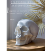 Статуэтка Череп анатомический из гипса, 15х15х20 см - изображение
