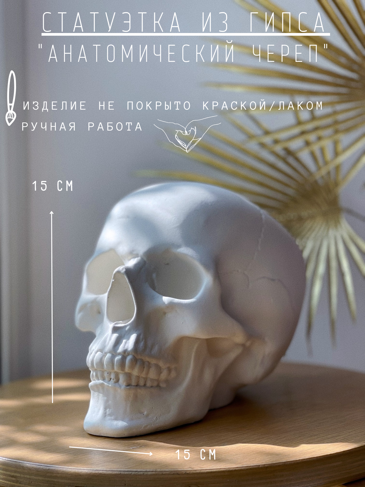 Статуэтка Череп анатомический из гипса, 15х15х20 см