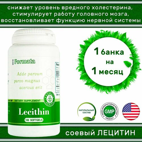 Lecithin Santegra / Лецитин соевый Сантегра 520 мг 100 капсул - снижение уровня холестерина, для защиты печени и нервной системы