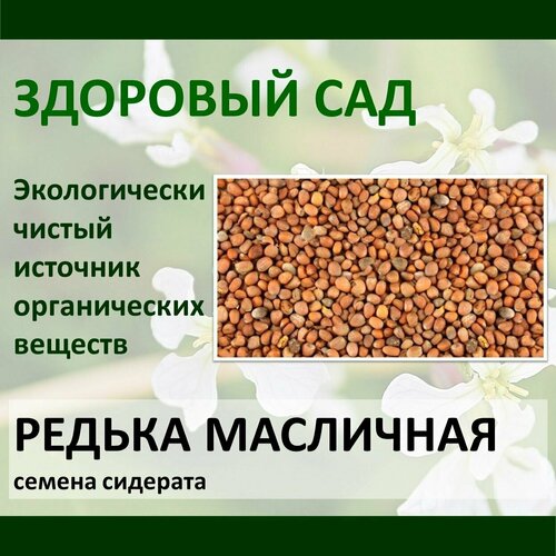 Семена сидерат редька масличная здоровый САД, 0,5 кг х 15 шт (7,5 кг) сидерат русский огород редька масличная 250г