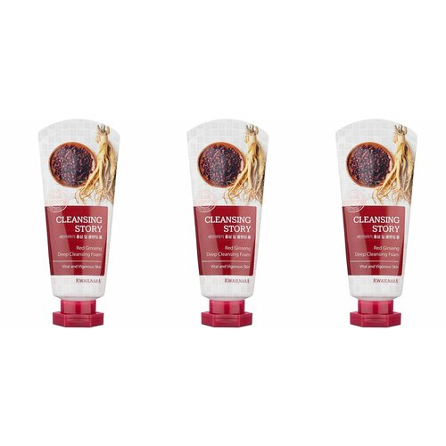 WELCOS Пенка для умывания с красным женьшенем Cleansing Story Foam Cleansing Red Ginseng 120мл - 3 штуки