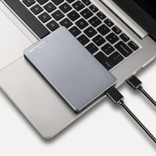 Изображение товара Внешний жесткий диск Blueendless Silver, 320Гб, USB 3,0, пластик, серебристый