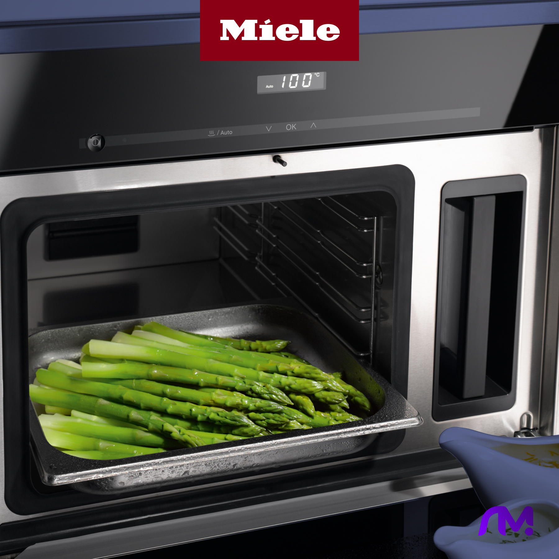 Пароварка Miele DG 2840 OBSW