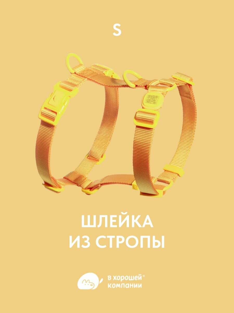 Анатомическая прогулочная шлейка с адресником из стропы для собак мелких пород IN GOOD COMPANY (S / Спелое манго)