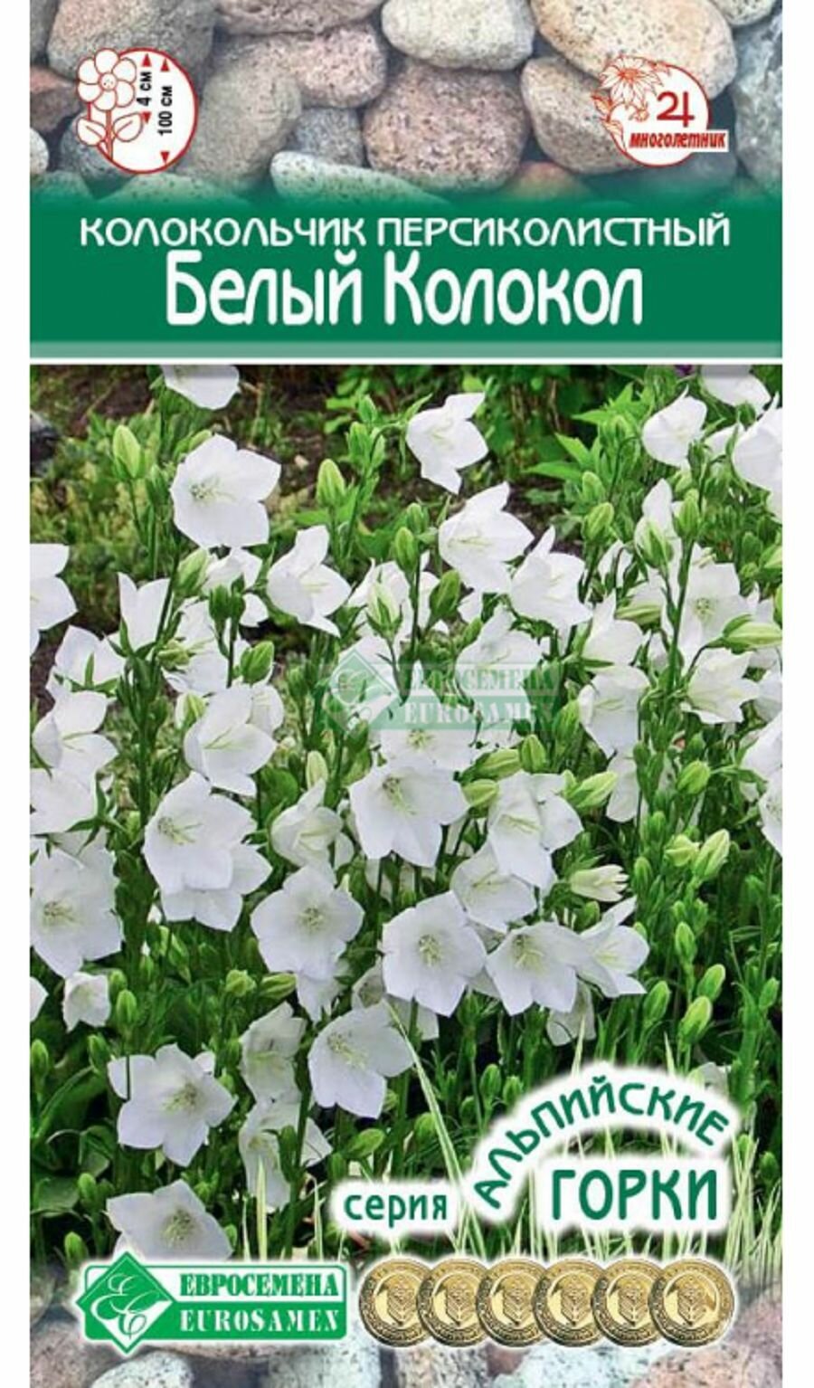 Колокольчик белый колокол персиколистный (01 гр) / Евросемена