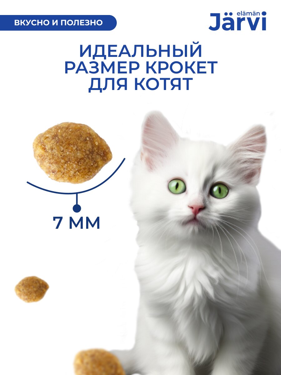 Сухой корм Jarvi полнорационный для котят, Индейка 1,5 кг — фото 1